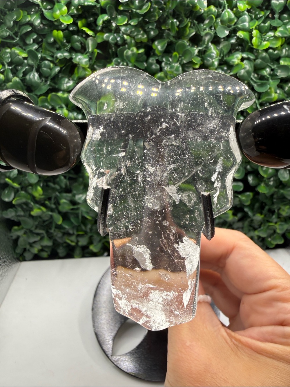 Stunning Hand-Carved Clear Quartz & Black Obsidian Bull Skull on Display Stand - Picture 5 of 7